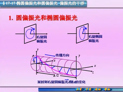 椭圆偏振光和圆偏振光  偏振光的干涉