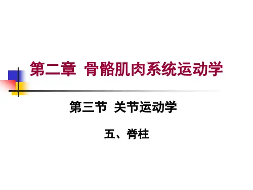 第二章 第三节  关节运动学(五、脊柱)腰椎