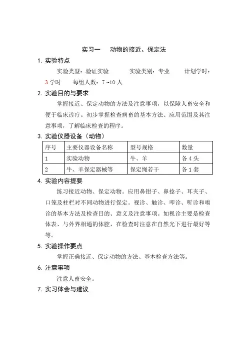 实验报告