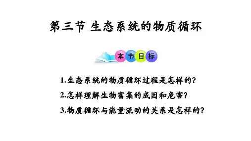 3.3生态系统的物质循环-高二生物课件(人教版2019选择性必修2)