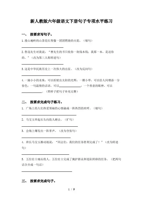 新人教版六年级语文下册句子专项水平练习