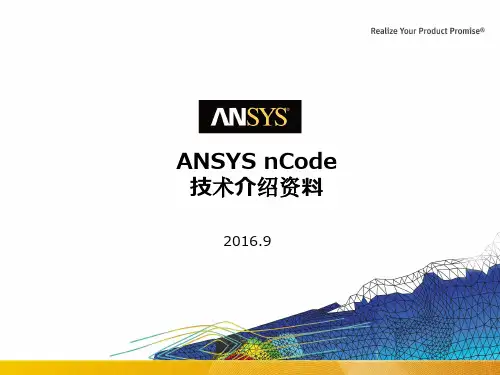 ANSYS nCode 2016中文