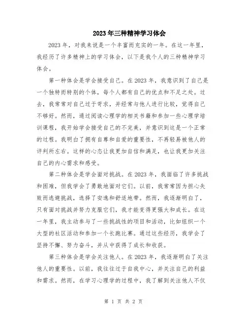 2023年三种精神学习体会