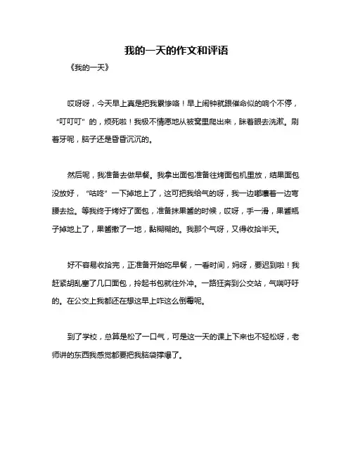 我的一天的作文和评语