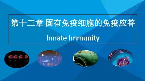 CH13固有免疫细胞免疫应答