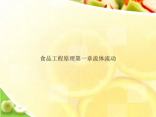 食品工程原理第一章流体流动ppt文档