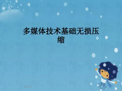 多媒体技术基础无损压缩
