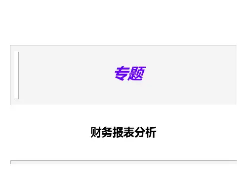 财务报表分析专题  ppt课件