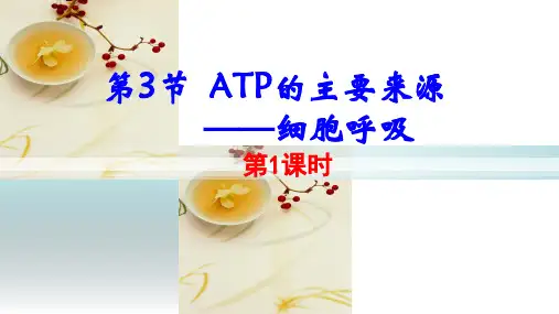 人教版生物必修一第五章第3节 ATP的主要来源 ——细胞呼吸 