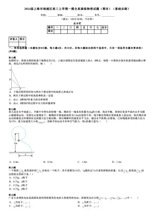 2024届上海市杨浦区高三上学期一模全真演练物理试题(期末)(基础必刷)
