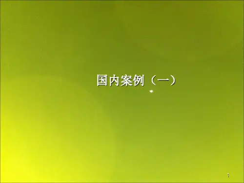 国内案例评析一