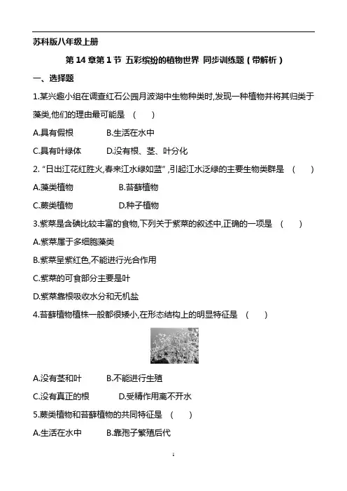 苏科版八年级上册    第14章第1节 五彩缤纷的植物世界 同步训练题(带解析)