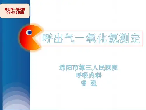 一氧化氮检测