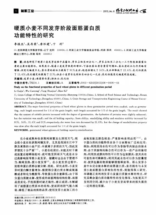 硬质小麦不同发芽阶段面筋蛋白质功能特性的研究