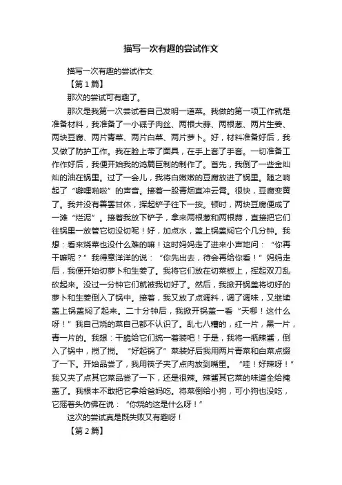 描写一次有趣的尝试作文