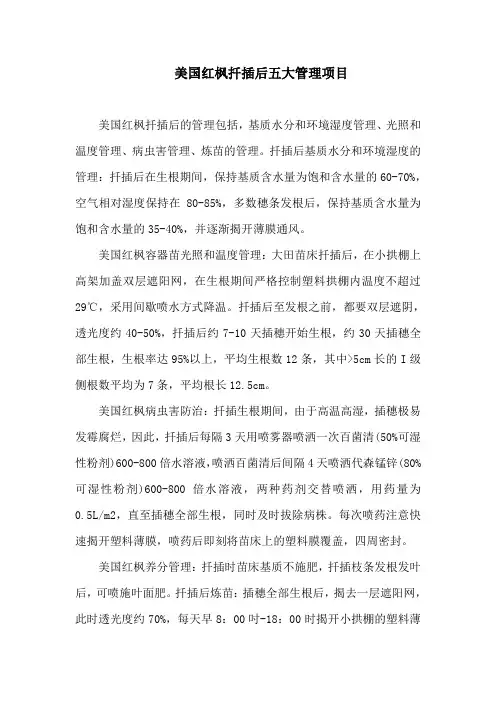 美国红枫扦插后五大管理项目