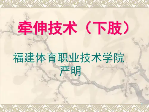 牵伸技术(下肢牵伸技术与程序_)幻灯片