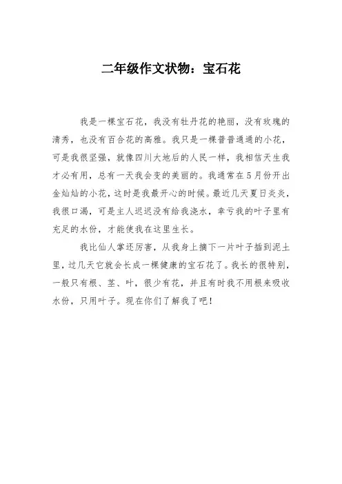 二年级作文状物：宝石花