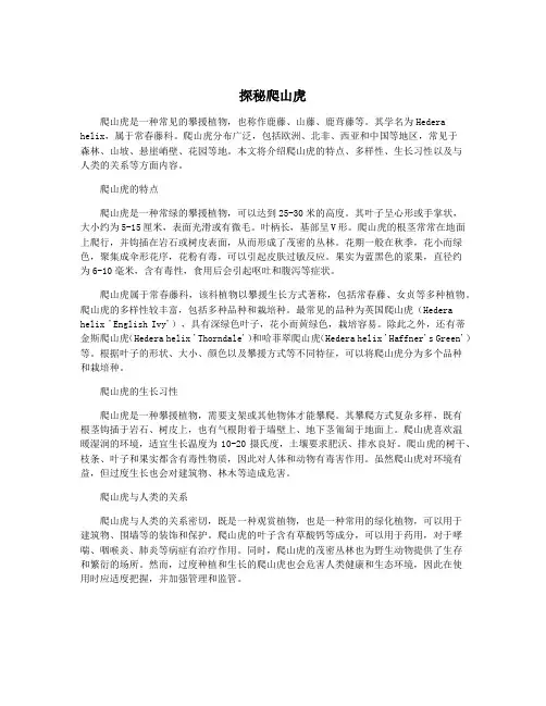 探秘爬山虎