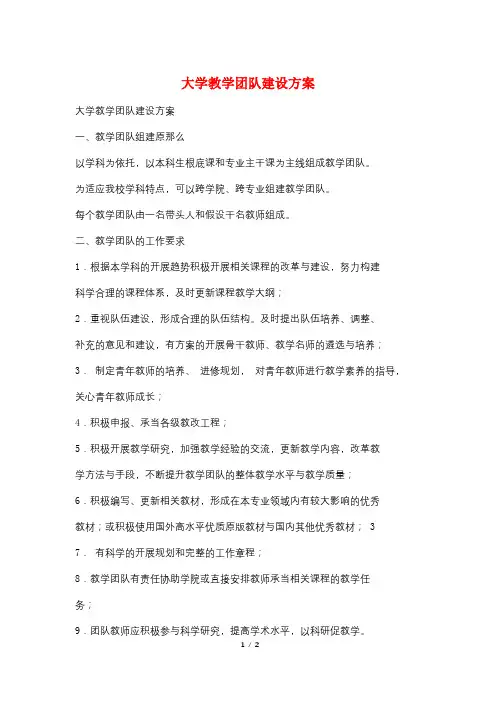大学教学团队建设方案 2