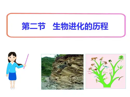 苏教版生物八上5.16.2 生物进化的历程 实用配套课件(共32张PPT)