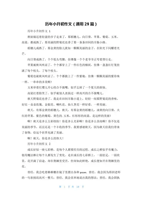 历年小升初作文(通用29篇)
