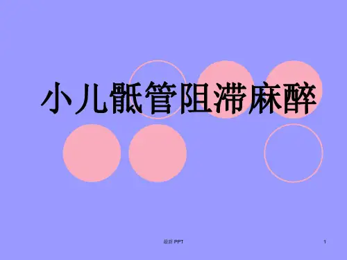 小儿骶管阻滞麻醉精品课件