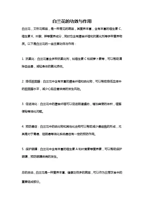 白兰花的功效与作用