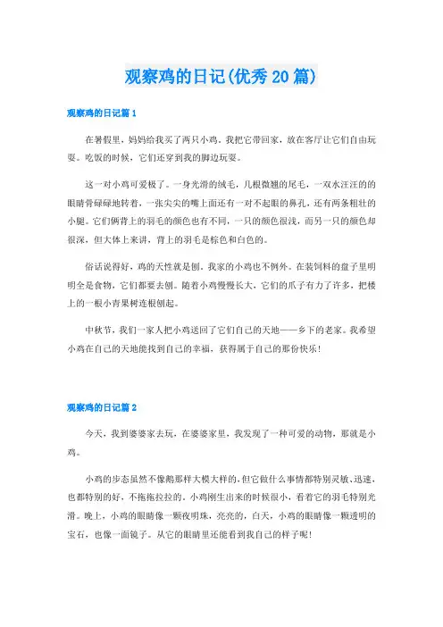 观察鸡的日记(优秀20篇)