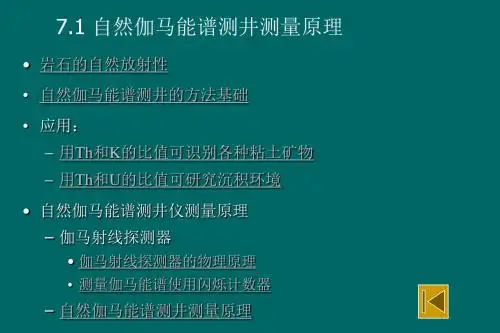 自然伽马能谱测井第一节
