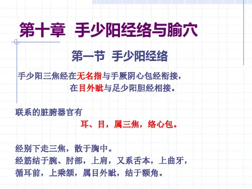 人体经络穴位图谱10三焦经