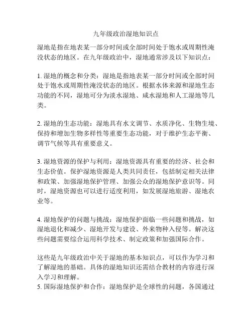 九年级政治湿地知识点