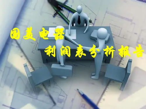 国美电器利润表分析