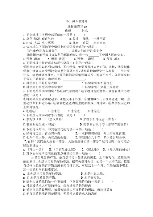 小升初专项复习选择题练习(试题)部编版语文六年级下册 (1)