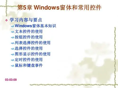 第5章Windows窗口控件
