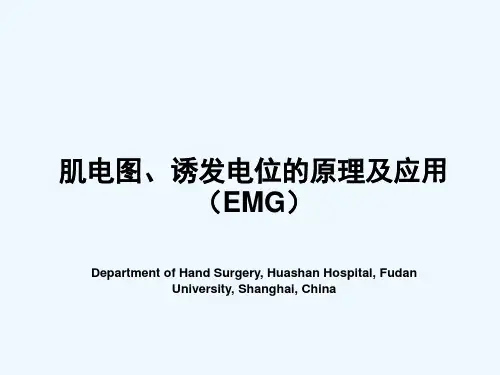 神经电生理  肌电图基础知识