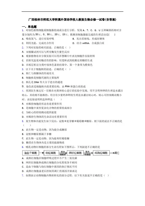 广西桂林市师范大学附属外国语学校人教版生物必修一试卷(含答案)