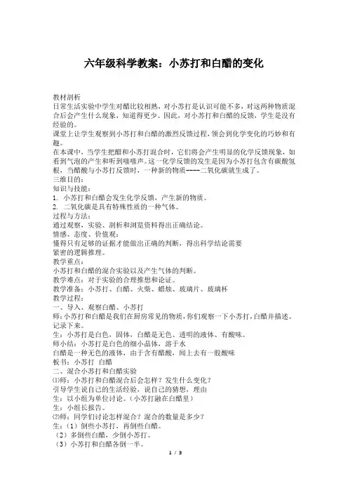 六年级科学教案：小苏打和白醋的变化