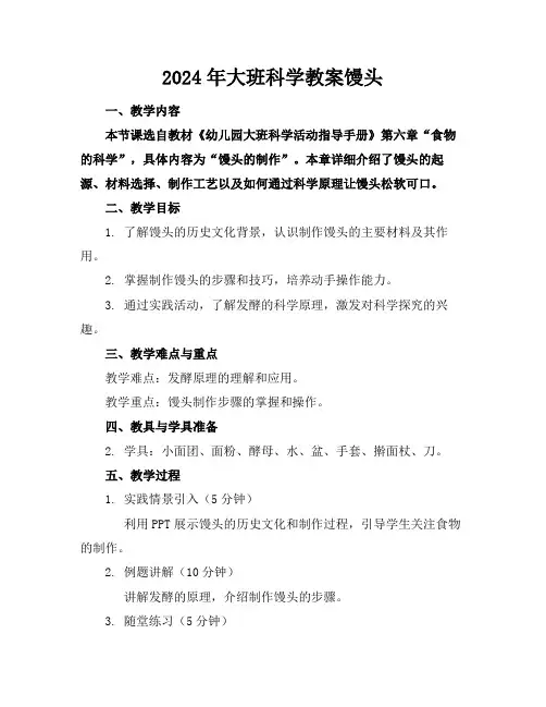 2024年大班科学教案馒头