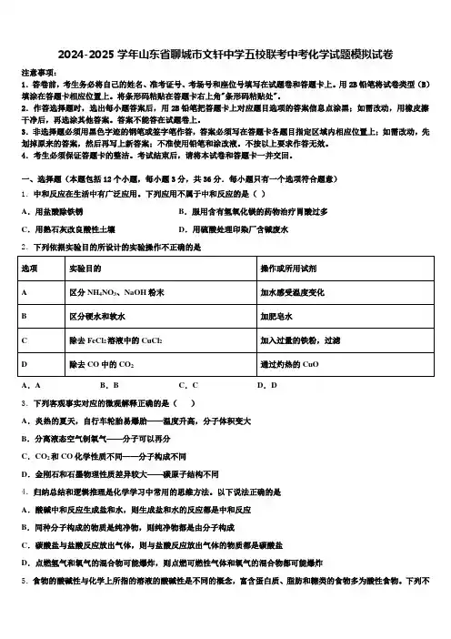2024-2025学年山东省聊城市文轩中学五校联考中考化学试题模拟试卷含解析