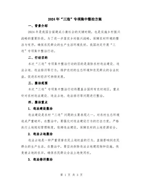 2024年“三违”专项集中整治方案