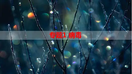 专题病毒-高考生物热点知识及技巧名师精讲课件
