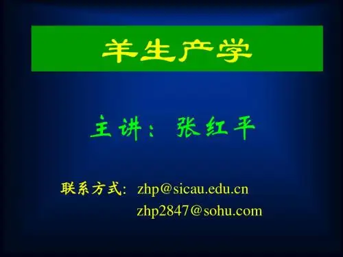 第一章(简洁版)
