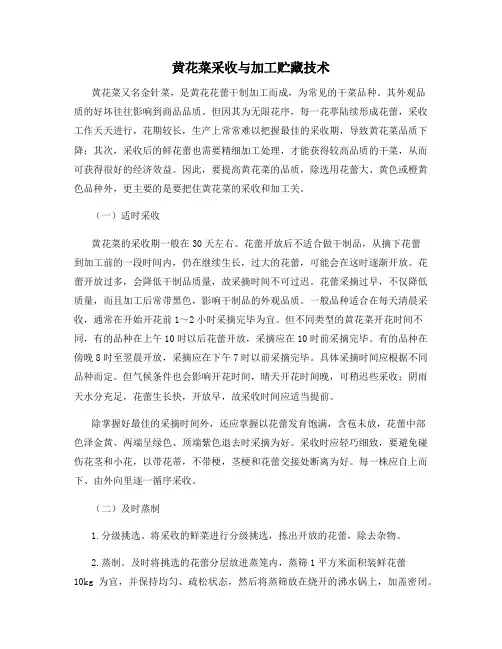 黄花菜采收与加工贮藏技术