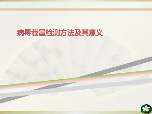 病毒载量检测方法及其意义