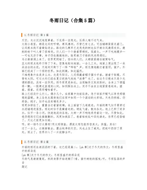 冬雨日记(合集5篇)