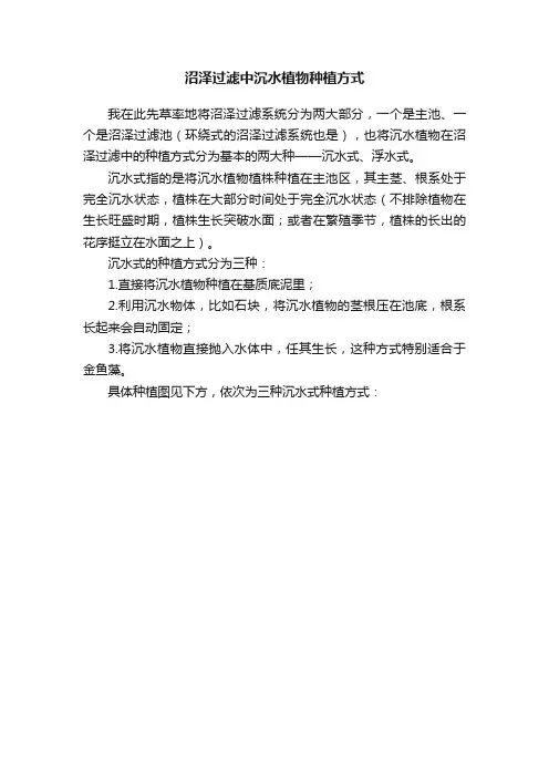 沼泽过滤中沉水植物种植方式