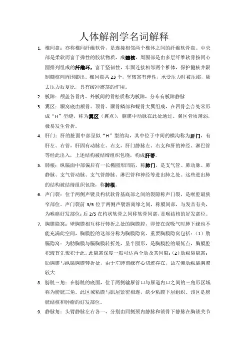 人体解剖学名词解释