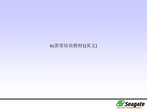 6s黑带培训教材1(英文)