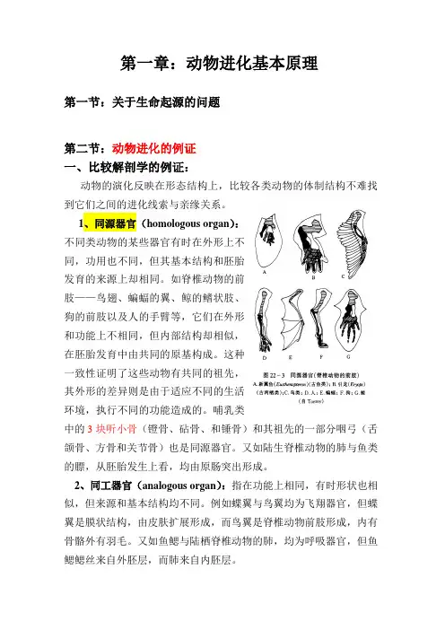 动物进化基本原理